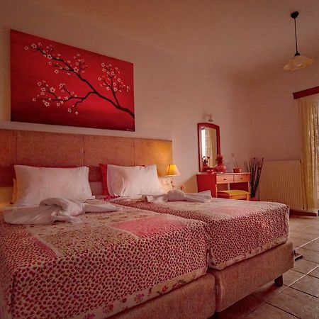 פליאוחורה Roula Apartments מראה חיצוני תמונה